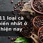 Công Ty Cà Phê Ngon Việt Nam