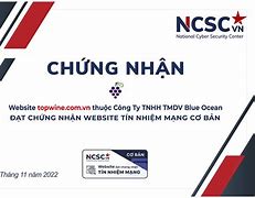 Công Ty Tnhh Blue Ocean Marine Việt Nam Lừa Đảo Không